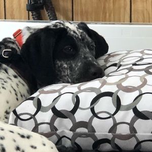 Meet your Posher, Hillary